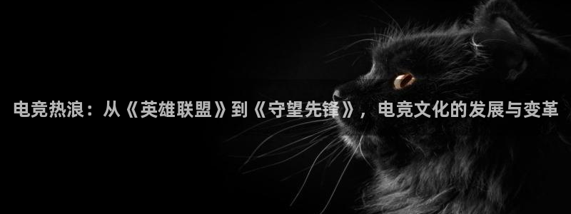 一竞技网址：电竞热浪：从《英雄联盟》到《守望先锋》，电竞文化的发展与变革