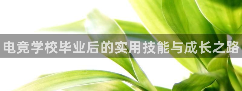 一竞技app下载：电竞学校毕业后的实用技能与成长之路