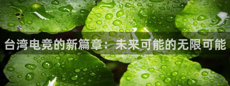 一竞技app下载安装：台湾电竞的新篇章：未来可能的无限可能