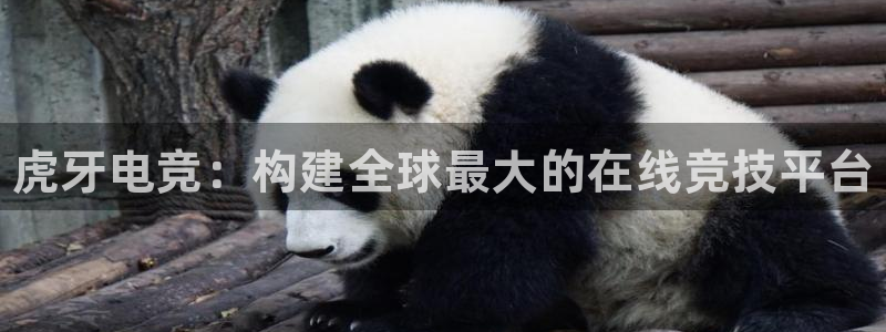 一竞技官网：虎牙电竞：构建全球最大的在线竞技平台