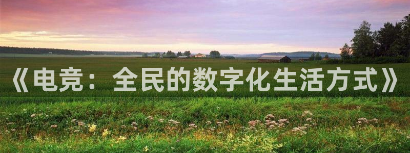 一竞技官网：《电竞：全民的数字化生活方式》