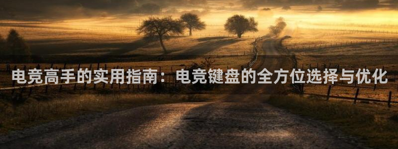 一竞技官网下载：电竞高手的实用指南：电竞键盘的全方位选择与优化