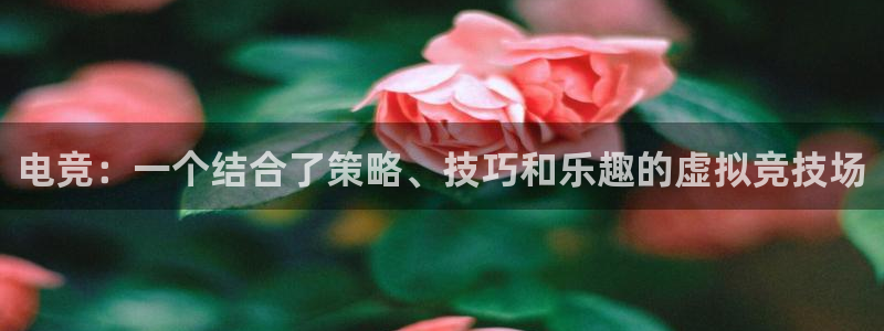 一竞技官网：电竞：一个结合了策略、技巧和乐趣的虚拟竞技场