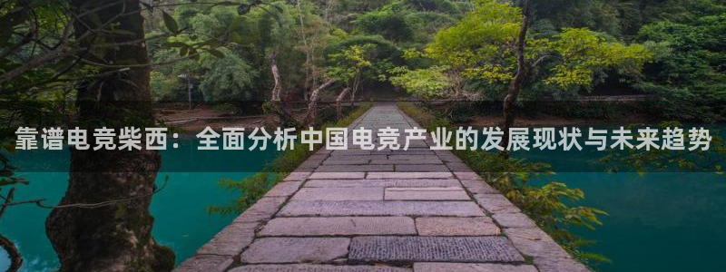 一竞技app下载：靠谱电竞柴西：全面分析中国电竞产业的发展现状与未来趋势