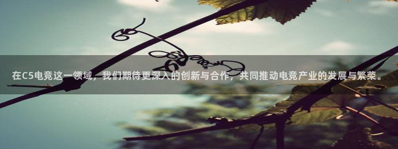 一竞技app下载：在C5电竞这一领域，我们期待更深入的创新与合作，共同推动电竞产业的发展与繁荣。