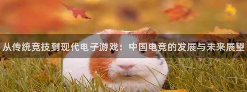 一竞技：从传统竞技到现代电子游戏：中国电竞的发展与未来展望